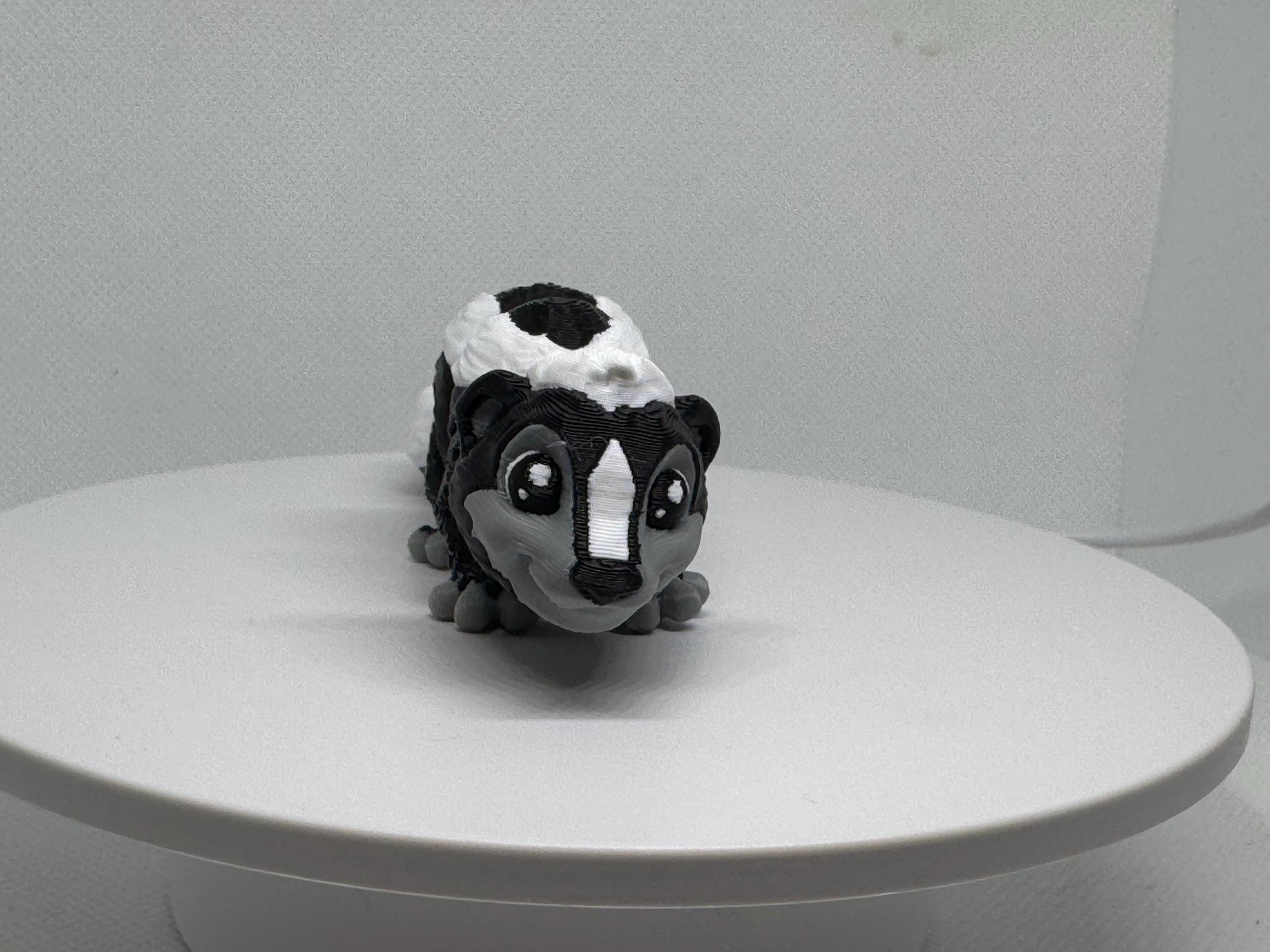 Articulated Flexi Skunk 3D Printed Toy – Wiggling Desk Buddy, Animal Lover Gift