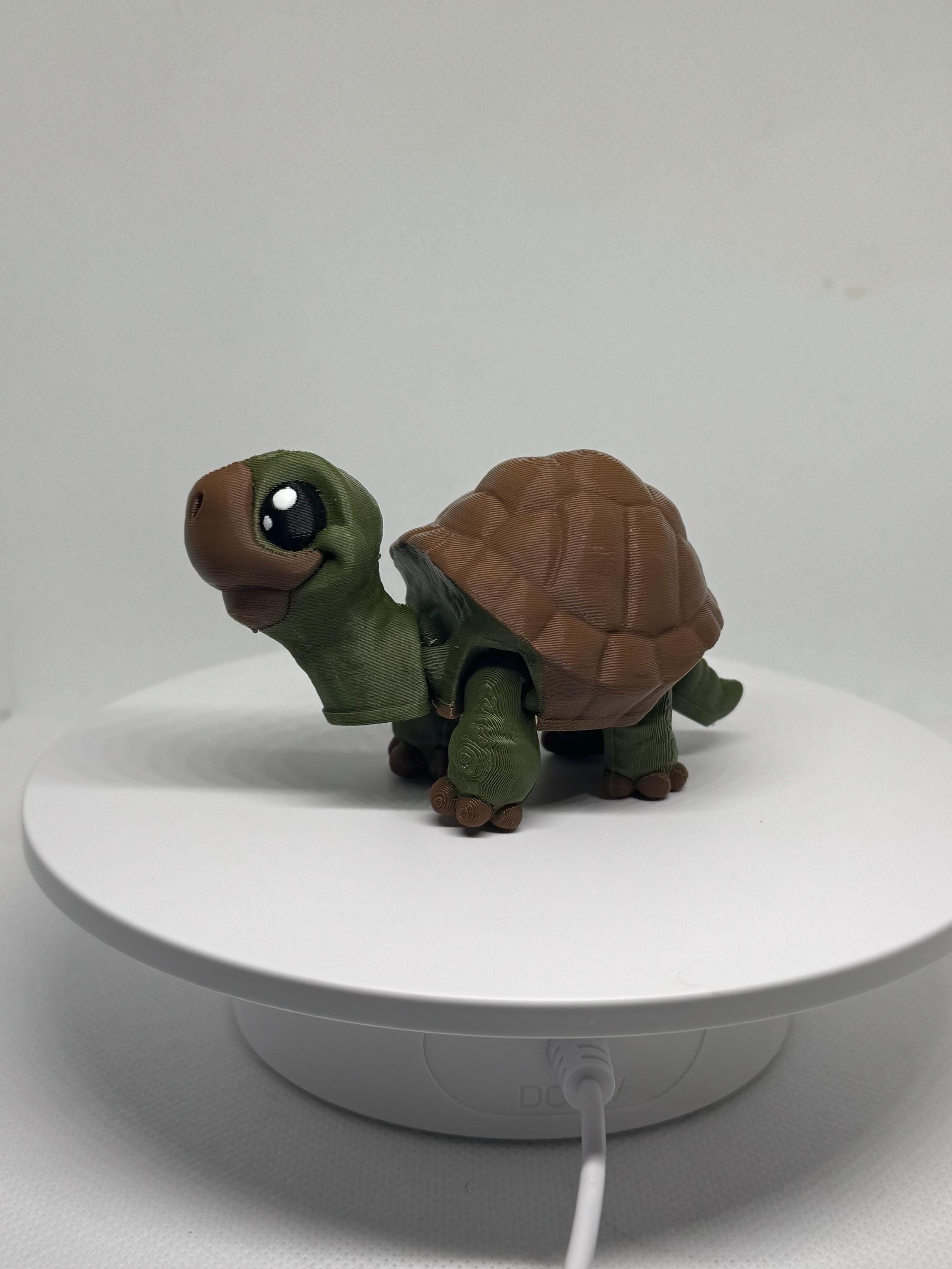 3D Printed Flexi Tortoise Figurine: Articulated PLA Desk Pet