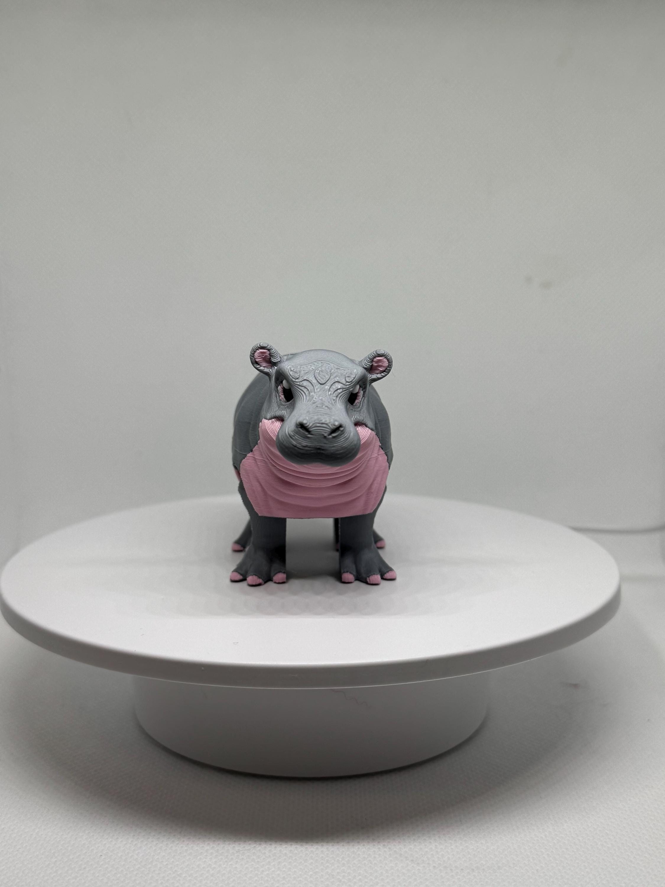3D Printed Flexi Hippo Toy | Articulated Fidget Desk Buddy