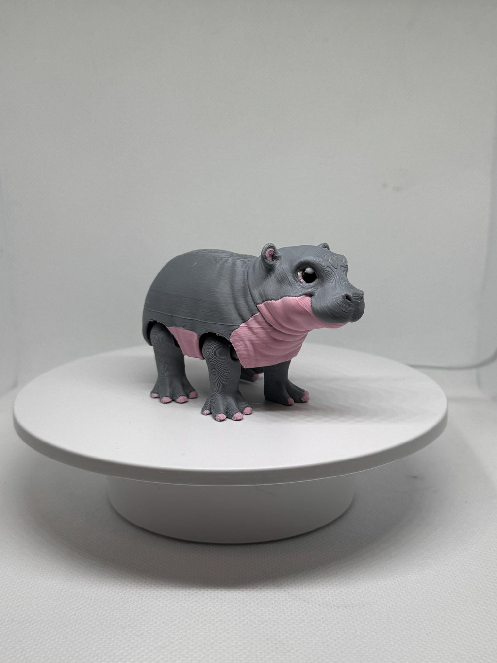 3D Printed Flexi Hippo Toy | Articulated Fidget Desk Buddy
