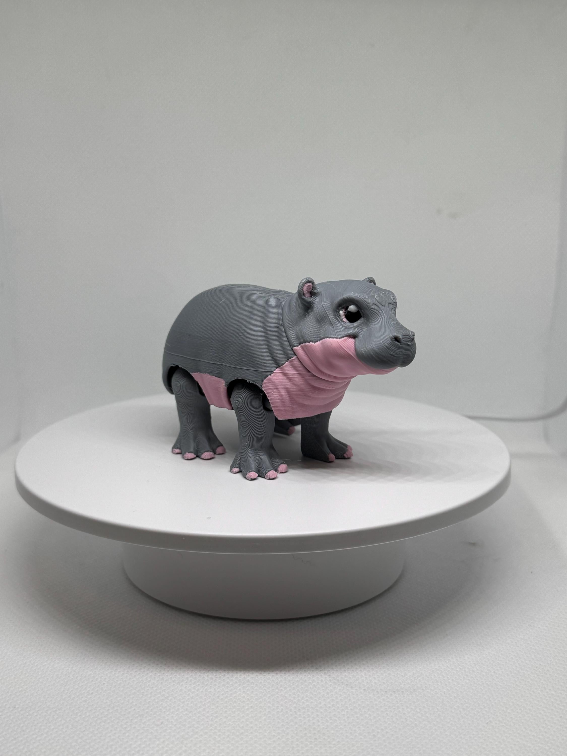 3D Printed Flexi Hippo Toy | Articulated Fidget Desk Buddy
