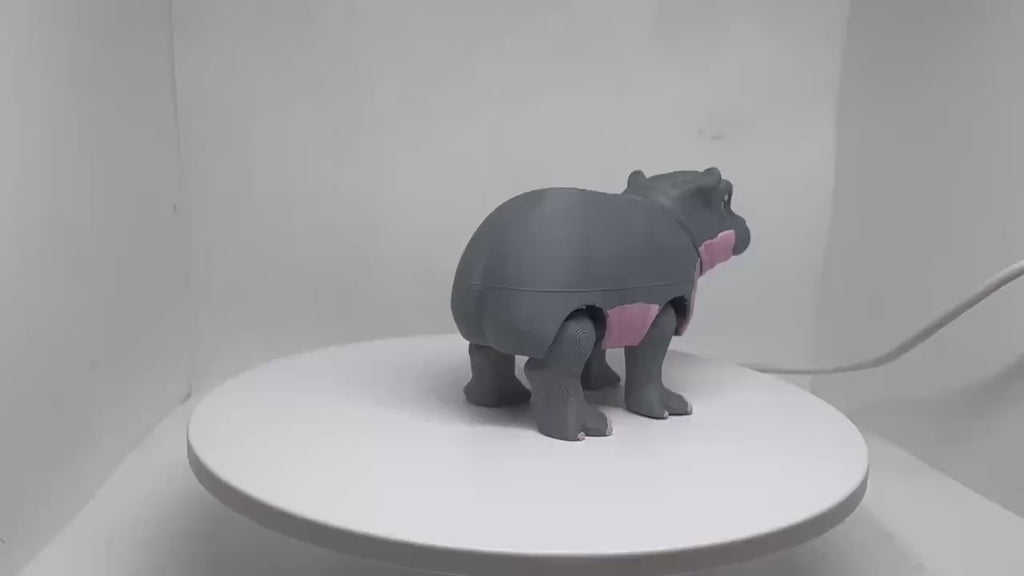 3D Printed Flexi Hippo Toy | Articulated Fidget Desk Buddy